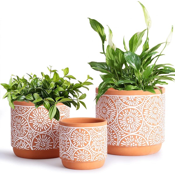 DeeCoo DeeCoo 3 Piece Ceramic Plant pots Indoor Flower Pots