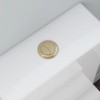 QiANGRENSD Flush Button Brushed Brass Universally Toilet Dual Flush Button