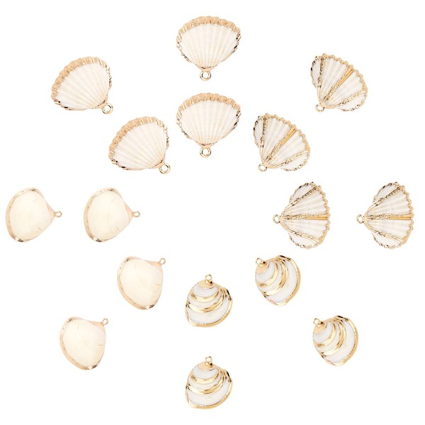 SUNNYCLUE 1 Box of 16 Shell Charms Oval Ocean Beach