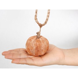 Sweet Summer Living Garland 6 feet (72 inches) with 9 Pieces of Mini-Pumpkins Fall, Thanksgiving and Holiday Decorations Natural/Off White/Orange