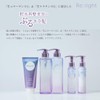 Purunt Shampoo Treatment Refill Set (Rewrite)