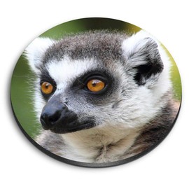 1 x Round MDF Magnet - Lemur Monkey Head Wildlife 15821