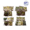 22 Traditional Teas Herbal Tea Collection Healthy Tea / 22전