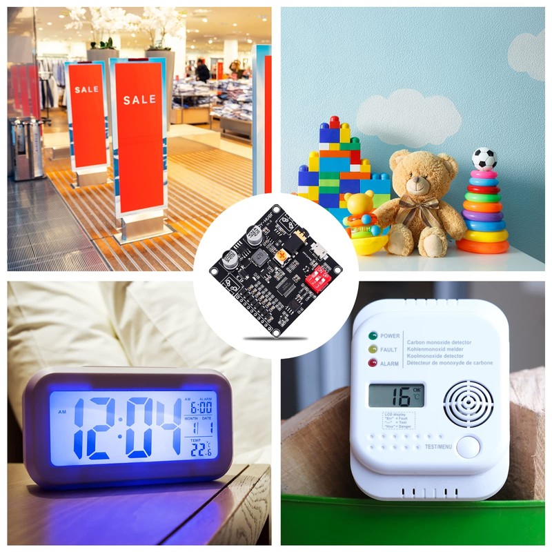 DC 12V 24V 20W Voice Playback Module, PEMENOL High Power