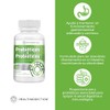 HEALTHADDICTION - Probiticos y Prebiticos Frmula Avanzada con 4 Cepas