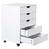 JungleA Mobile File Storage Cabinet with Drawers & Wheels,Home Office
