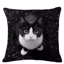 Pengyu Lovely Cat Print Linen Pillow Case Cushion Throw Cover Home Sofa Cafe Decor,Black,45 x 45 cm