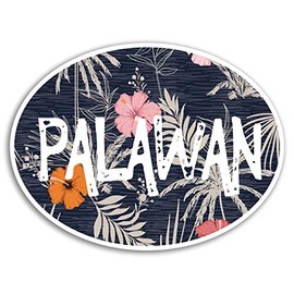 2 x 10cm Palawan Philippines Vinyl Stickers - Fun Sticker Laptop Luggage #18601 (10cm Wide)