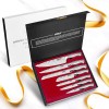 Set of Kitchen Knives Stainless Steel Chef Knives for Home