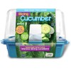 Unique Gardener Slicing Cucumber Plant Seeds Kit, Grow Healthy Tasty