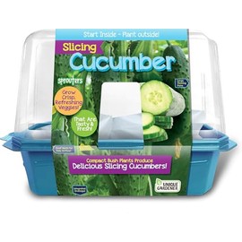 Unique Gardener Slicing Cucumber Plant Seeds Kit, Grow Healthy Tasty Veggies Indoors Includes Everything Needed, Indoor Live Plants for Easy Home Gardening, Just Add Water
