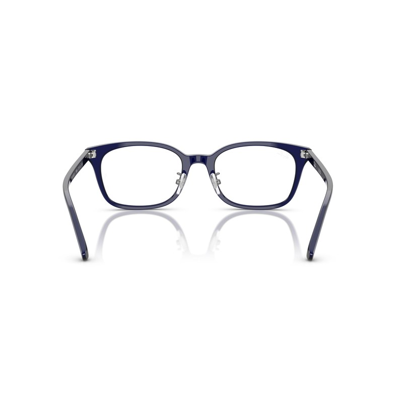 [レイバン] サングラス 0RX5407D TRANSPARENT DARK BLU 52