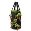 Strawberry Grow Bag 3 Gallon Hanging Tomato Planter 12 Holes