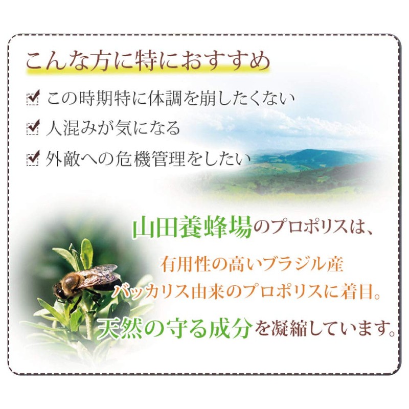 山田養蜂場 プロポリス液30(ブラジル産水分散性) 30ml / 本 [ プロポリス ブラジル産 水分散性 高濃度