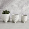 47th & Main Textured Dots Ceramic Tripod Footed Home Decor