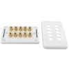 Selby 5.0 Speaker Wall Plate Wallplate Premium Pre-Assembled for 5