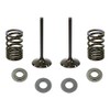 Outlaw Racing OR5264-Ek Exhaust Valve and Stainless Steel Spring Kit