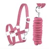 Halter Lead Rope Set with Snap Hook Adjustable Horse Halter