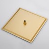 Rainfall Shower Head in Gold, BSTIIU Extra Large 16 Inch