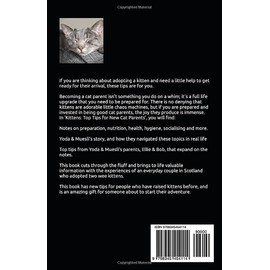  Kittens: Top tips for new cat parents