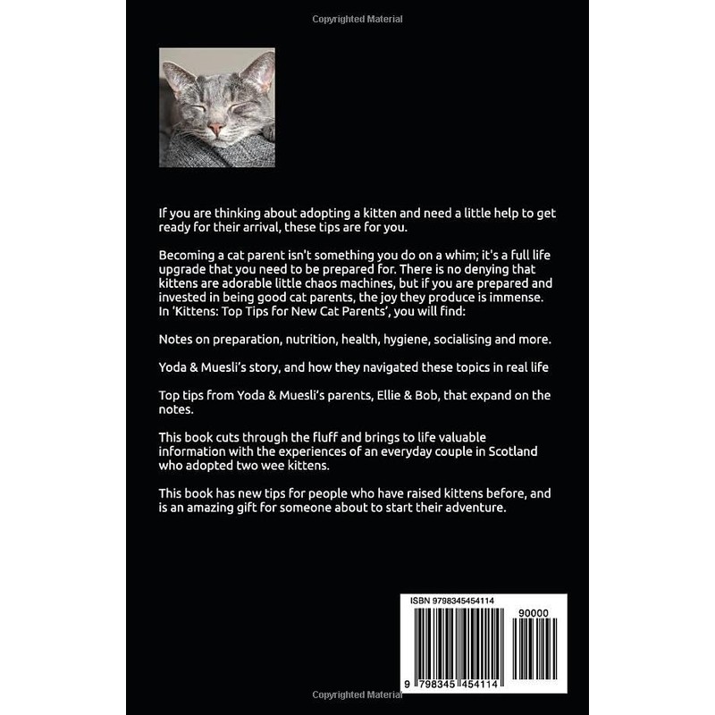  Kittens: Top tips for new cat parents