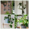 20 PCS Chain Trellis for Climbing Plants, Wall Trellis for