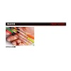 Prox WHSH521SS Semetana Wakasagi Flat Skeleton Tip, 21/SS (Fluorescent Orange)
