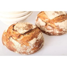 Heritage Sour Sourdough Starter Dehydrated 400 Yrs Old Black Death Bavarian - 15 Gram Bag