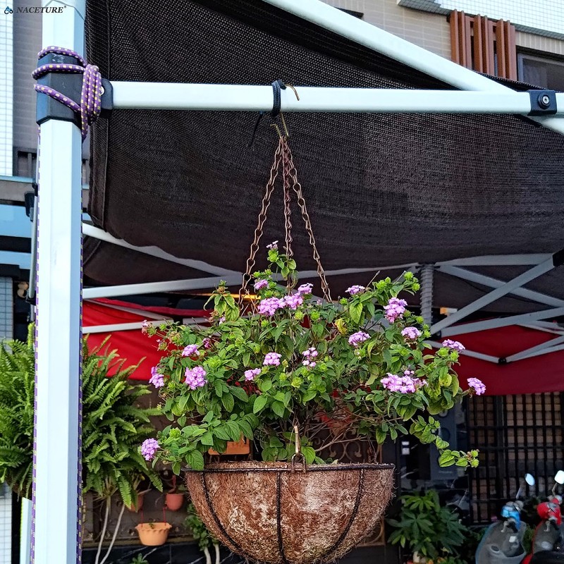 s字フック ステンレススチールワイヤーフック - 50個エス字フック 小さなSフック吊り下げ用 フック 金具 挂钩、魚の形クランプ フック ジュエリーやキッチン用品、洋服の吊り下げに使用