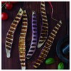 Everwilde Farms - 1 Lb Long Purple Eggplant Seeds -