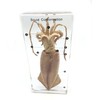 Squid Cuttlefish Conformation Specimen in Acrylic Block Paperweights Science Classroom