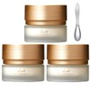 KOY Solid Volume Core Cream 50ml (3 pieces) + Spatula (1 piece) / 코이 KOY 솔리드 볼륨 코어크림 50ml 3개+스파츌라 1개