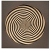 AA Audio Anatomy Vinyl Record Turntable Cover Spiral Design Made
