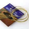 Danchet A103 Acoustic Guitar Strings,Bronze,Medium Light (1 Set)