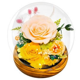 Preserved Flowers for Mom - Preserved Champagne Roses in Glass Dome with LED Light for Girlfriend, Eternal Real Flowers for Women, Unique Long-Lasting Gift to Celebrate Mother's Day (Prime Delivery)