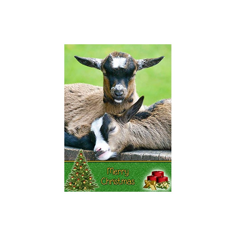 Goat Christmas Card 'Merry Christmas' - Special Xmas Card for