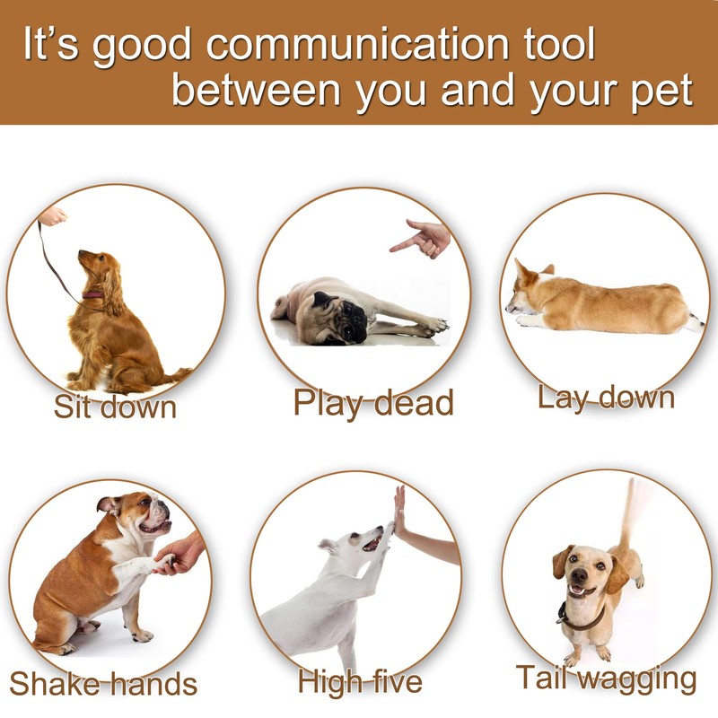 Training Clicker for Pet Like Dog Cat Horse Bird Dolphin