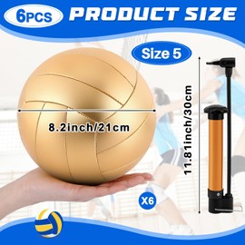Hiboom Size 5 Gold Autograph Volleyball with Air Pump for Trophies Player Awards High School College Anniversary Coaching Gift Awards Championship Party(1 Pcs)