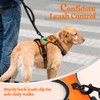 rabbitgoo Dog Harness Large Dog No Pull Pet Harness with