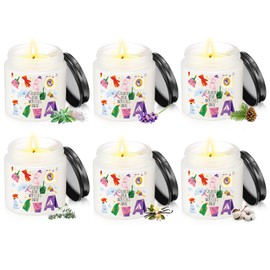 Nuanchu 6 Pcs Housekeeping Week Candles Housekeeper Appreciation Gifts Housekeeping Janitor Candle for School Custodian Women Cleaner Cleaning Your Worries Away Gifts (Smell 3)