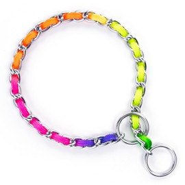 TSPRO Stainless Steel Heavy Duty Metal Dog Collar, Adjustable and Durable Pet Collar for Small Dogs, Ideal for Walking and Training (Rainbow-Colored, 3MM*13-15 inches)