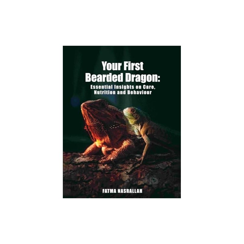 Your First Bearded Dragon: Essential Insights on Care, Nutrition and