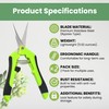 Hormex Cloning Shears - Precision straight-blade shears designed for clean,