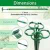 Extendable Plant Stakes, Length Scalable from 17.9IN to 42.3IN Plant
