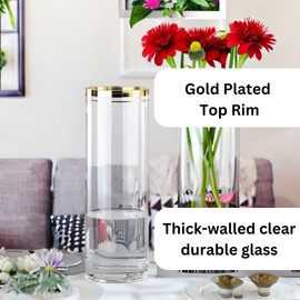 Tall Vases for Flowers Table Centerpieces Wedding Living Room Décor Gift - Clear Glass Cylinder Flower Vase Pot Gold-Plated (Without Gold Plated Honeycomb Base, 25cm (9.84") X 10cm (3.93"))