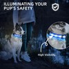 PetIsay Light up Dog Collar - High Visibility & Durable