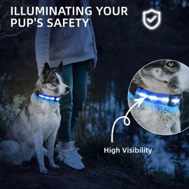 PetIsay Light up Dog Collar - High Visibility & Durable Nylon Material - USB C Rechargeable & Waterproof LED Dog Collar for Night Walking,Lighted Dog Collars Glow in The Dark Flashing(Blue,Small)