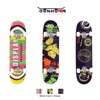 DONHOMER Skateboards 31" Standard Skateboard for Adults/Kids Girls/Boys with T-Tool