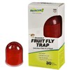 RESCUE! Fruit Fly Trap – Reusable, Includes Liquid Bait Attractant