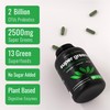 NutraChamps Organic Super Greens Capsules - Alfalfa, Spirulina, Chlorella &